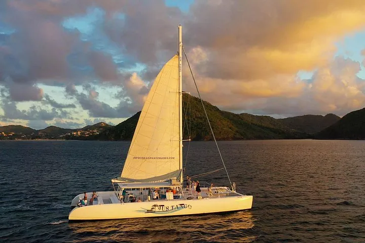 A white catamaran sailing on the ocean near hills at sunset